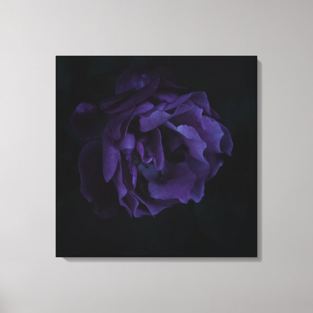 Impressão Em Tela Moody Purple Rosa (Frente)