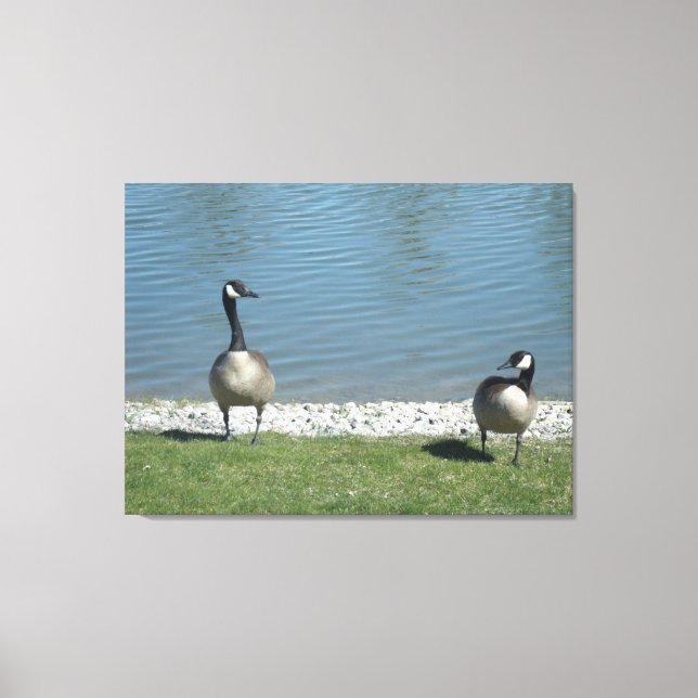 Impressão Em Tela Moradia de Illinois (Frente)