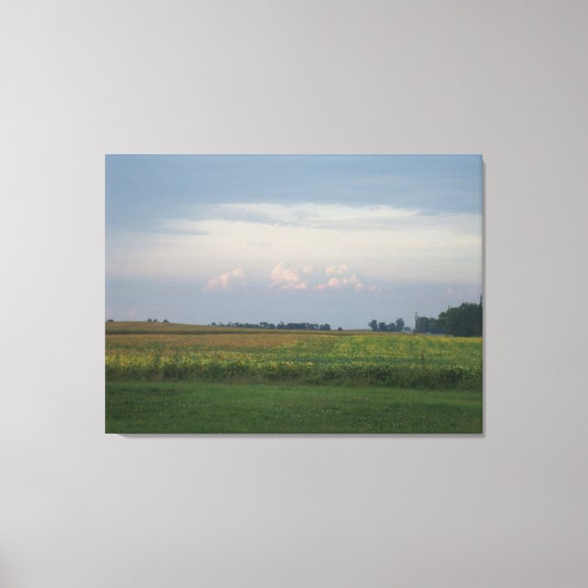 Impressão Em Tela Moradia de Illinois (Frente)