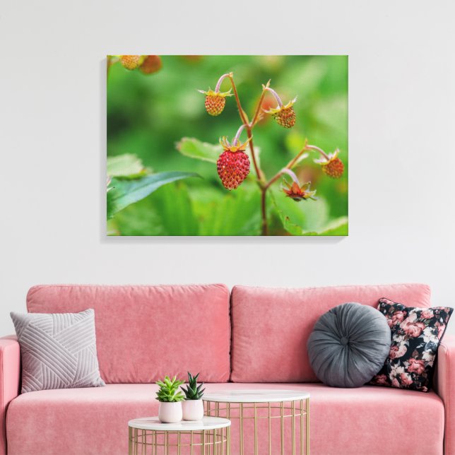 Impressão Em Tela Morango Da Madeira Vermelha Crescendo Em Uma Foto  (Insitu(Sala de estar))