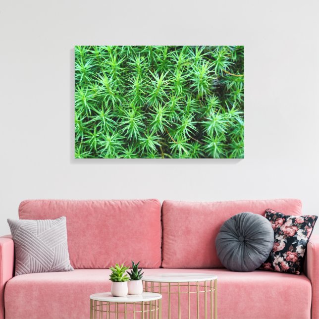 Impressão Em Tela Moss Boné de Cabelo de Juniper (Insitu(Sala de estar))