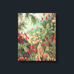Impressão Em Tela Mosses, Muscinae Laubmoose por Ernst Haeckel<br><div class="desc">Mosses, Muscinae Laubmoose por Ernst Haeckel Canvas Print</div>