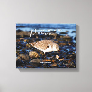 Impressão Em Tela Motivação "A Perseverança Faz..." Sanderling