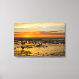 Impressão Em Tela Möwen im Sonnenuntergang