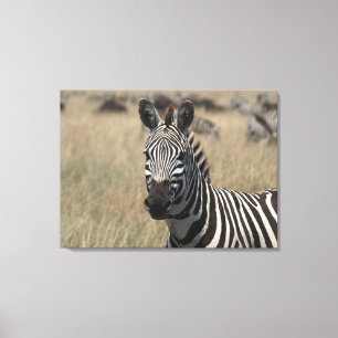 Impressão Em Tela Mug Shot