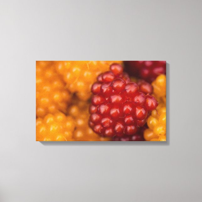 Impressão Em Tela Muito Berry (Frente)
