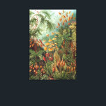 Impressão Em Tela Muscinae Antigos, Plantas de Musgo por Ernst Haeck<br><div class="desc">Ilustração antiga da natureza com design botânico por Ernst Haeckel. Uma variedade de musgos coloridos, gramíneas e outras plantas tropicais exóticas em uma selva tropical.</div>