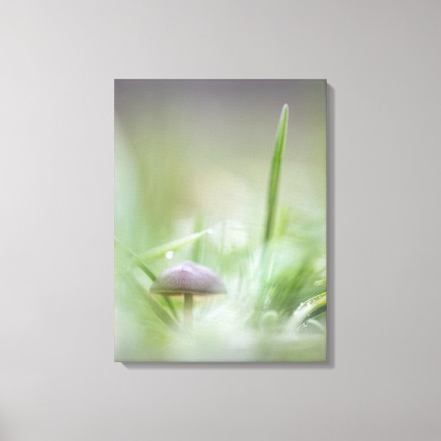 Impressão Em Tela Mushroom Nature Photo (Frente)