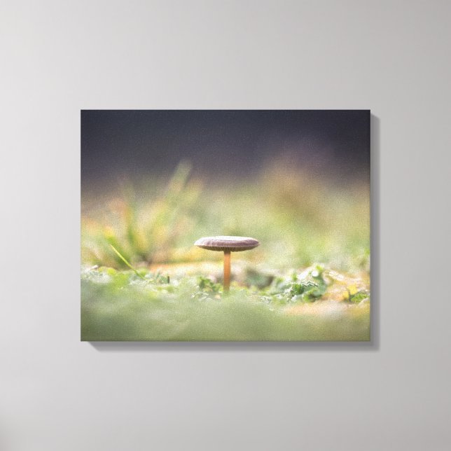 Impressão Em Tela Mushroom Nature Photo (Frente)