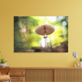 Impressão Em Tela Mushroom Nature Photo