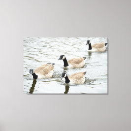 Impressão Em Tela Nação de gansos