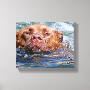 Impressão Em Tela Nadação de Cães