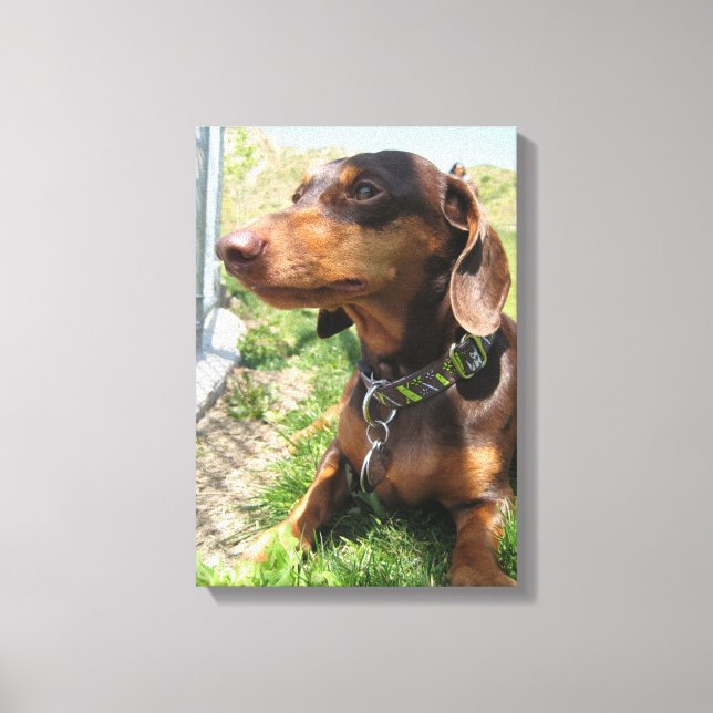 Impressão Em Tela napoleão (Frente)