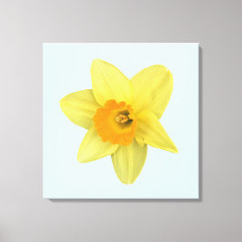 Impressão Em Tela Narciso de Mola Amarela