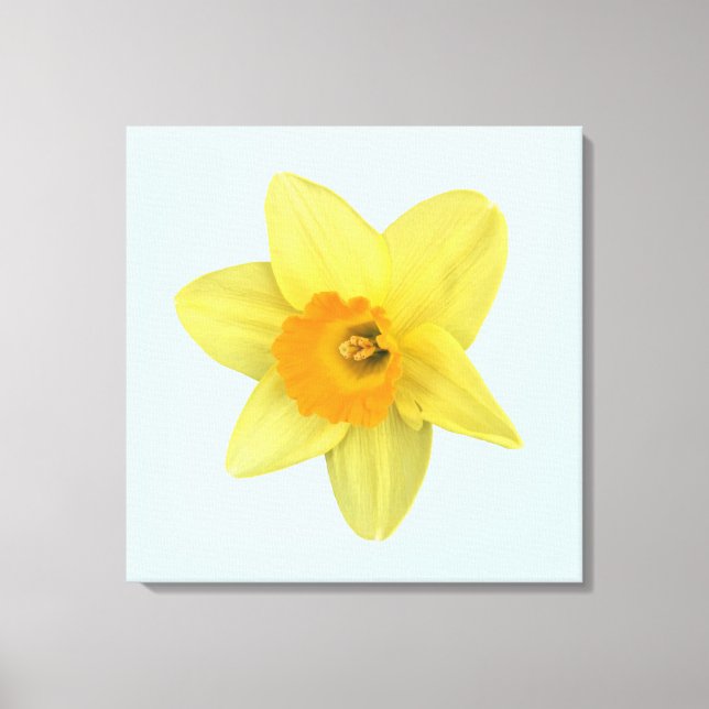 Impressão Em Tela Narciso de Mola Amarela (Frente)