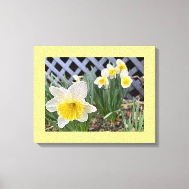 Impressão Em Tela Narcisos Amarelos  (Frente)