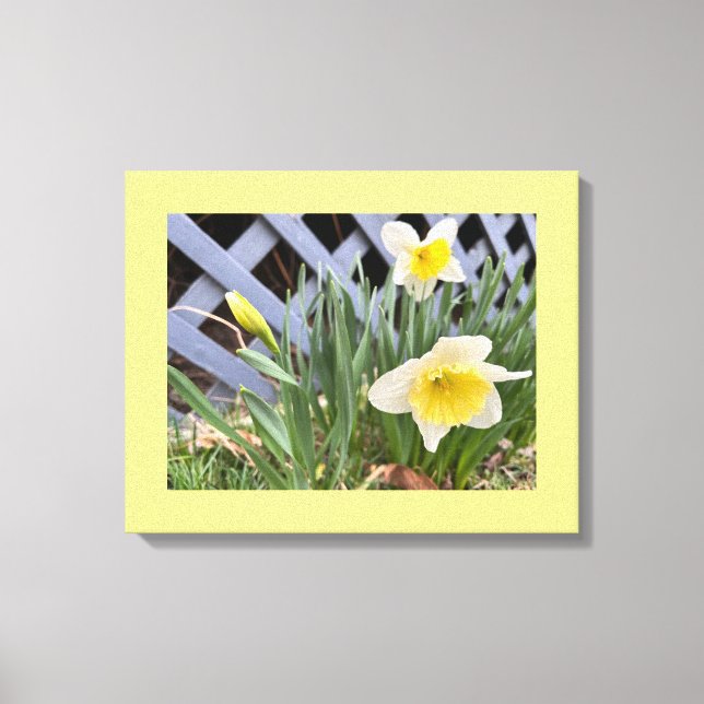 Impressão Em Tela Narcisos Amarelos #2 (Frente)