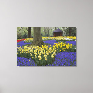 Impressão Em Tela Narcisos, jacintos e jardim de tulipas,