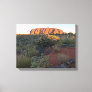 Impressão Em Tela Nascer do sol em Uluru e flora do deserto