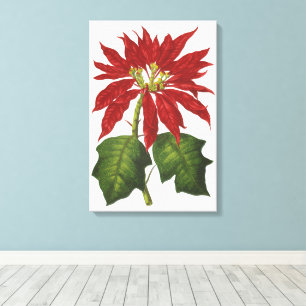 Impressão Em Tela natais vintages, Red Poinsettia, Fábrica de Inver