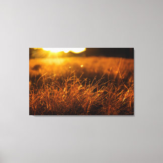 Impressão Em Tela Nature Wall Art