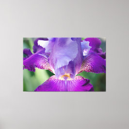 Impressão Em Tela Natureza Iris Brilhante / Foto Floral / Botânica