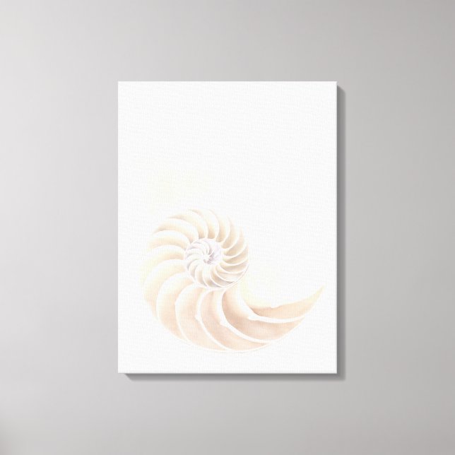 Impressão Em Tela Nautilus shell, close-up (Frente)