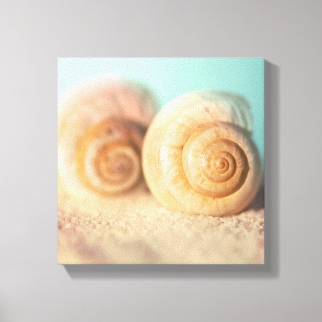 Impressão Em Tela Nautilus Shells On Beach (Frente)