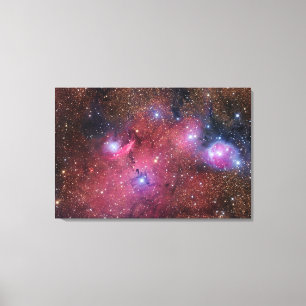 Impressão Em Tela Nebulosa de NGC 6559 no Sagitário