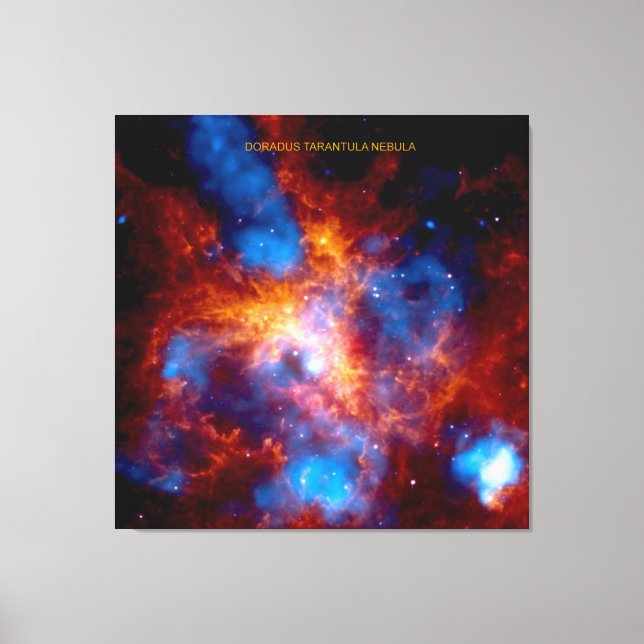 Impressão Em Tela Nebulosa Tarântula (Frente)