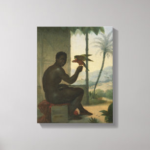 Impressão Em Tela Negro brasileiro com pássaro tropical
