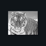 Impressão Em Tela Neve Fotográfica Negra E Branca Do Inverno<br><div class="desc">Tigre Preto E Branco Inverno Montanhas Fotográficas De Neve Canvas De Arte.</div>