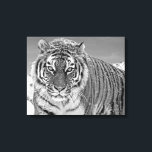 Impressão Em Tela Neve Fotográfica Negra E Branca Do Inverno<br><div class="desc">Tigre Preto E Branco Inverno Montanhas Fotográficas De Neve Canvas De Arte.</div>