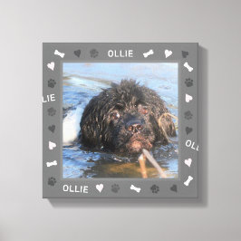 Impressão Em Tela Newfound Newfie Foto e Nome