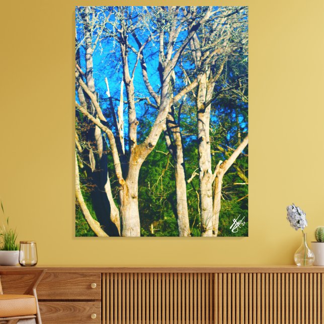 Impressão Em Tela Newman Rd Whidbey Island Trees #1 (Insitu(Sala de estar))