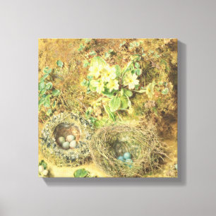 Impressão Em Tela Ninhos das prímulas e dos pássaros