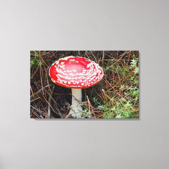 Impressão Em Tela Nova Zelândia, Rotorua, Taupo Zona Vulcânica (Frente)