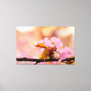 Impressão Em Tela O Calor Das Flores Sakura Na Primavera