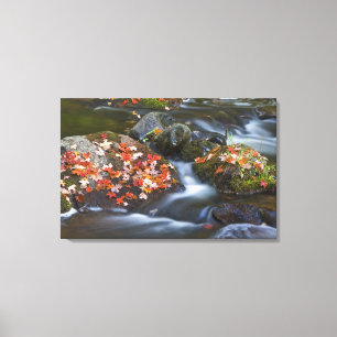 Impressão Em Tela O carpete vermelho deixa as rochas