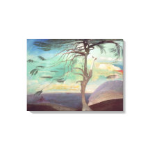 O Cedar Solitário, 1907