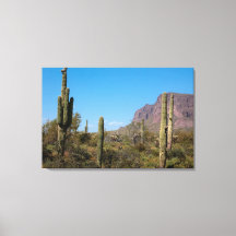 O Deserto de Sonora do Arizona