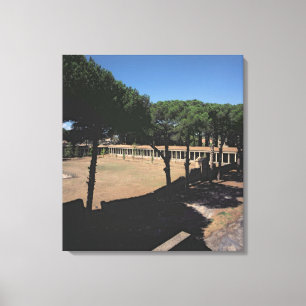 Impressão Em Tela O grande Palaestra