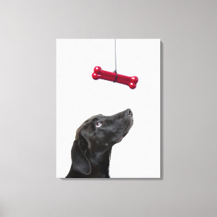 Impressão Em Tela O laboratório preto misturou o cão com o osso de