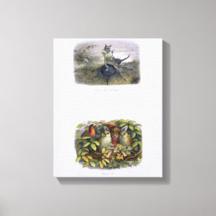 Impressão Em Tela O mensageiro da rainha feericamente, e duende e
