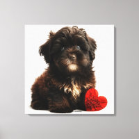 O Namorados mais quente, Chocolate Havanese