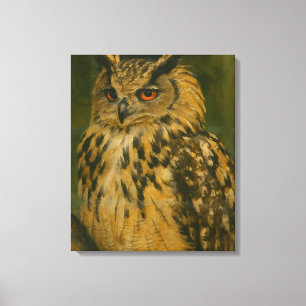 Impressão Em Tela O Observador - Eurasian Eagle-Owl na Luz do Woodla