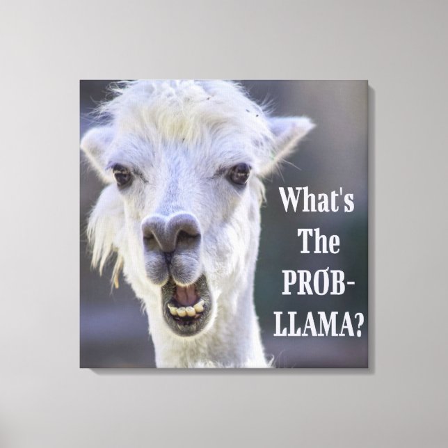 Impressão Em Tela O que é o Prob-Llama? LLAMA, Custa Engraçado (Frente)