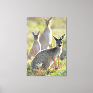 Impressão Em Tela O QUE SE PASSA? 40 x 60