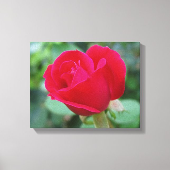 Impressão Em Tela O Rosa perfeito! (Frente)