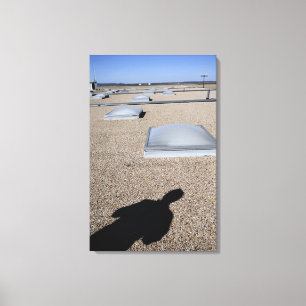 Impressão Em Tela O sistema de iluminação do dia solar